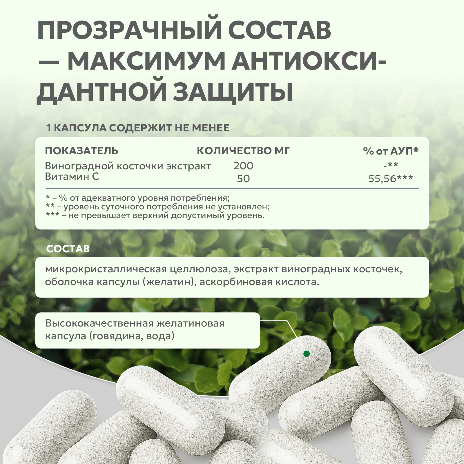 Экстракт виноградных косточек 60 капс.
