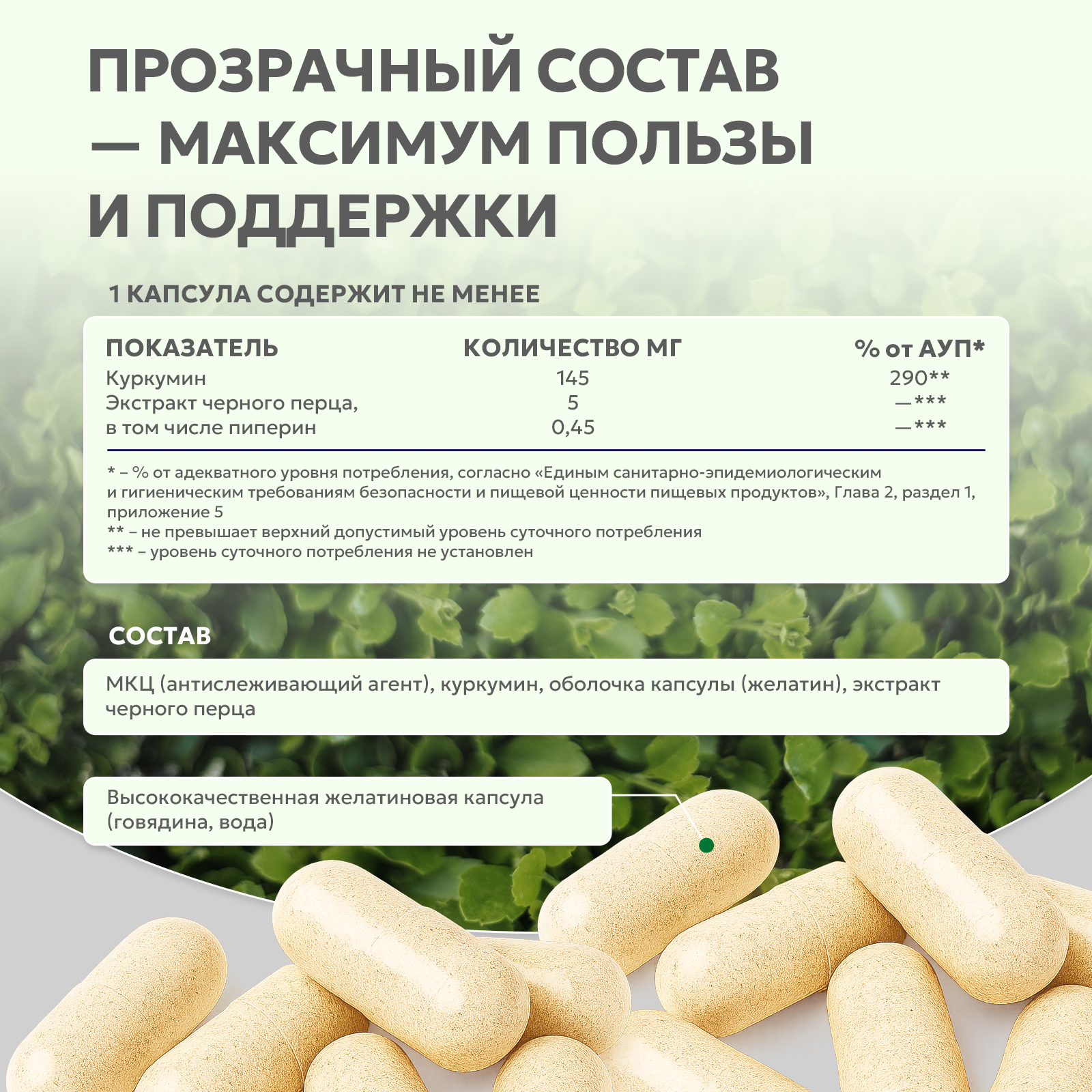 БАД к пище Куркумин + экстракт черного перца 60 капс