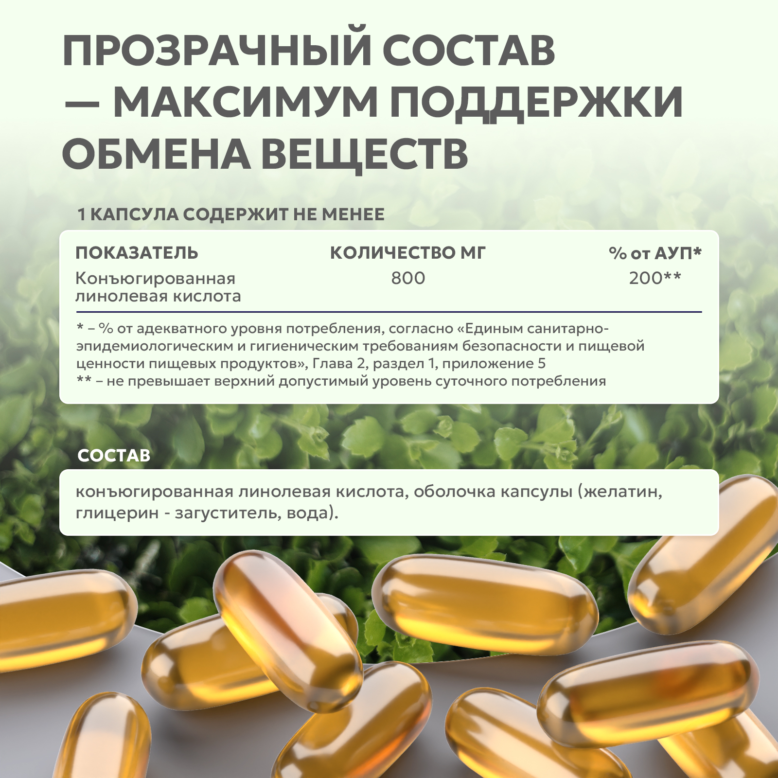БАД к пище КЛА / КЛК (Конъюгированная линолевая кислота) 60 капс.