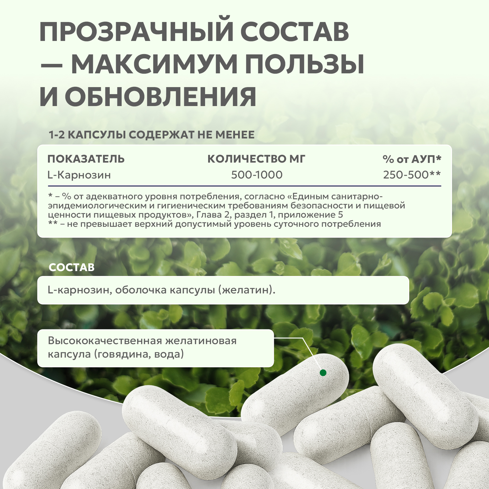 Карнозин / Carnosine / 60 капс.