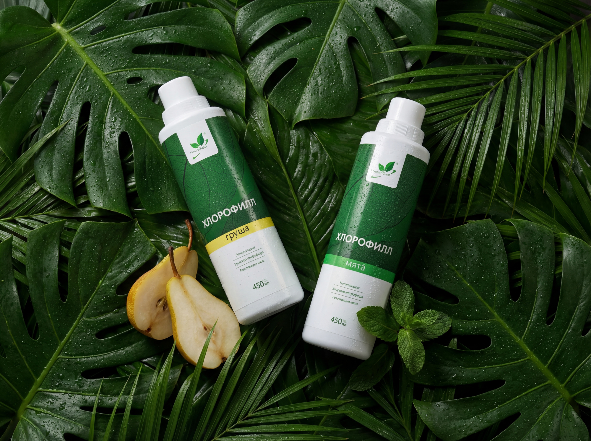 Что такое хлорофилл и зачем его добавляют в напитки? Разбираемся в тренде на него Что такое хлорофилл и зачем его добавляют в напитки? Разбираемся в тренде на него