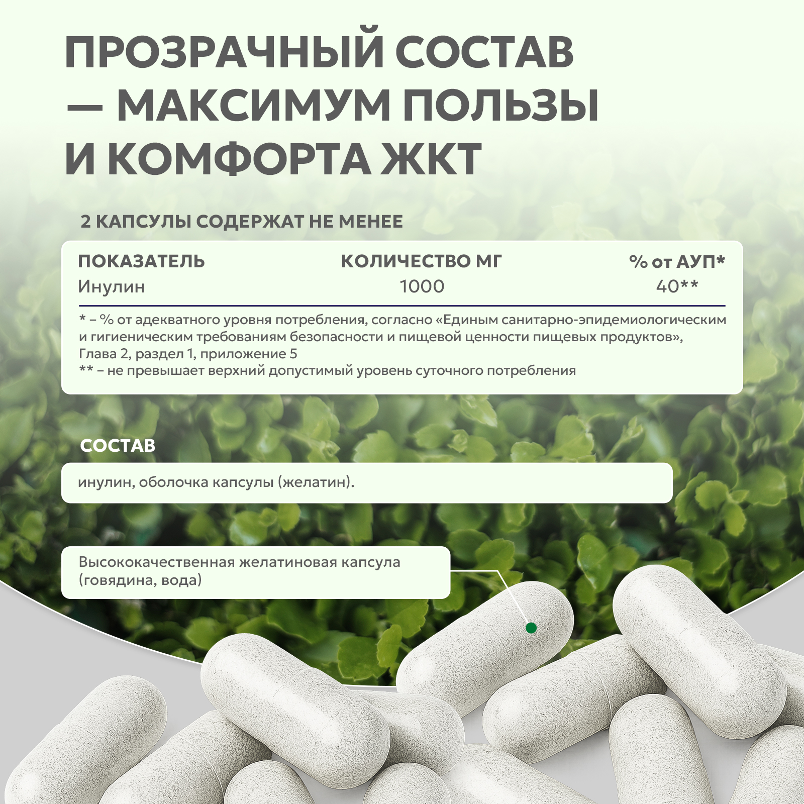 БАД к пище Инулин 60 капс.