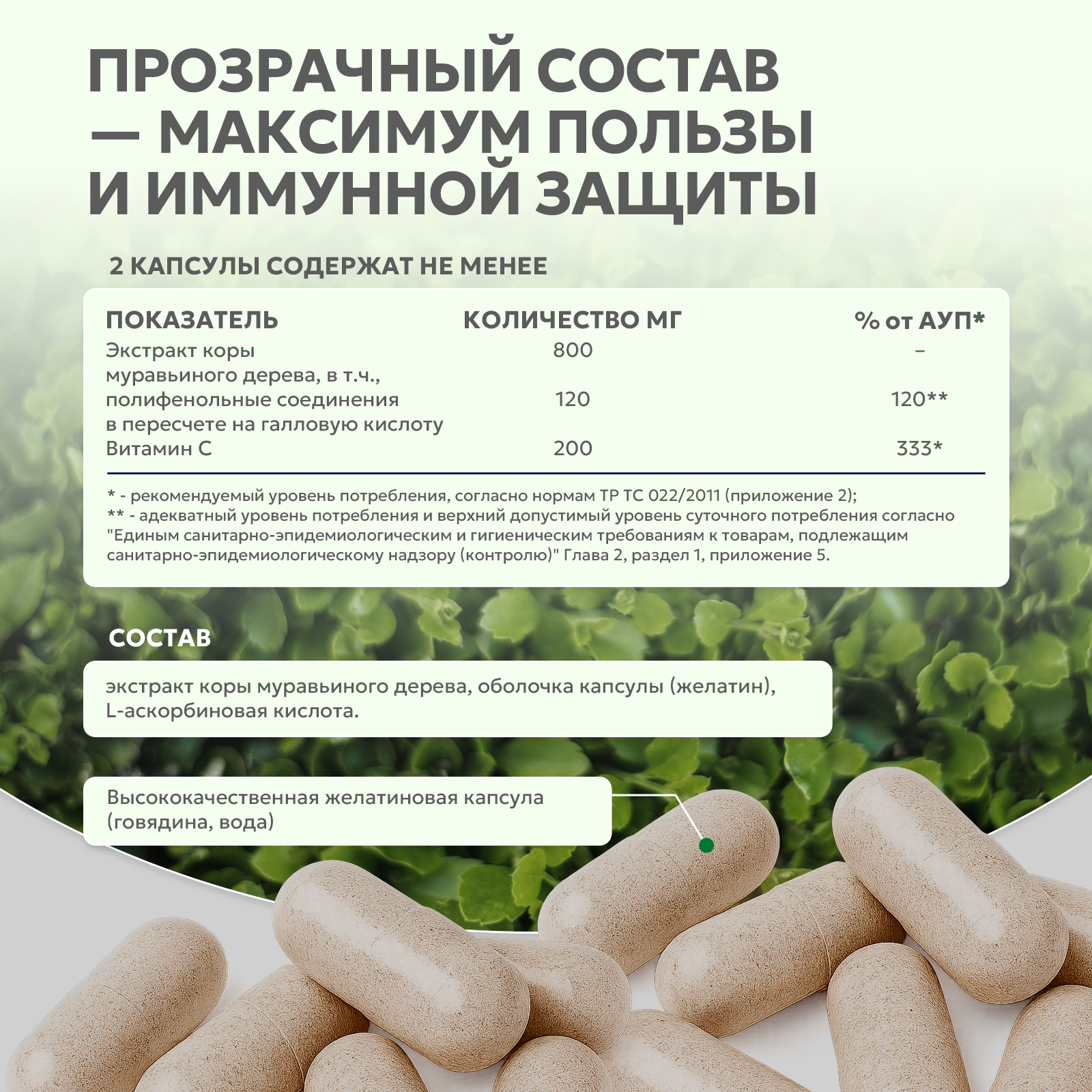 БАД к пище Пау дэ Арко (экстракт коры муравьиного дерева) 60 капс.