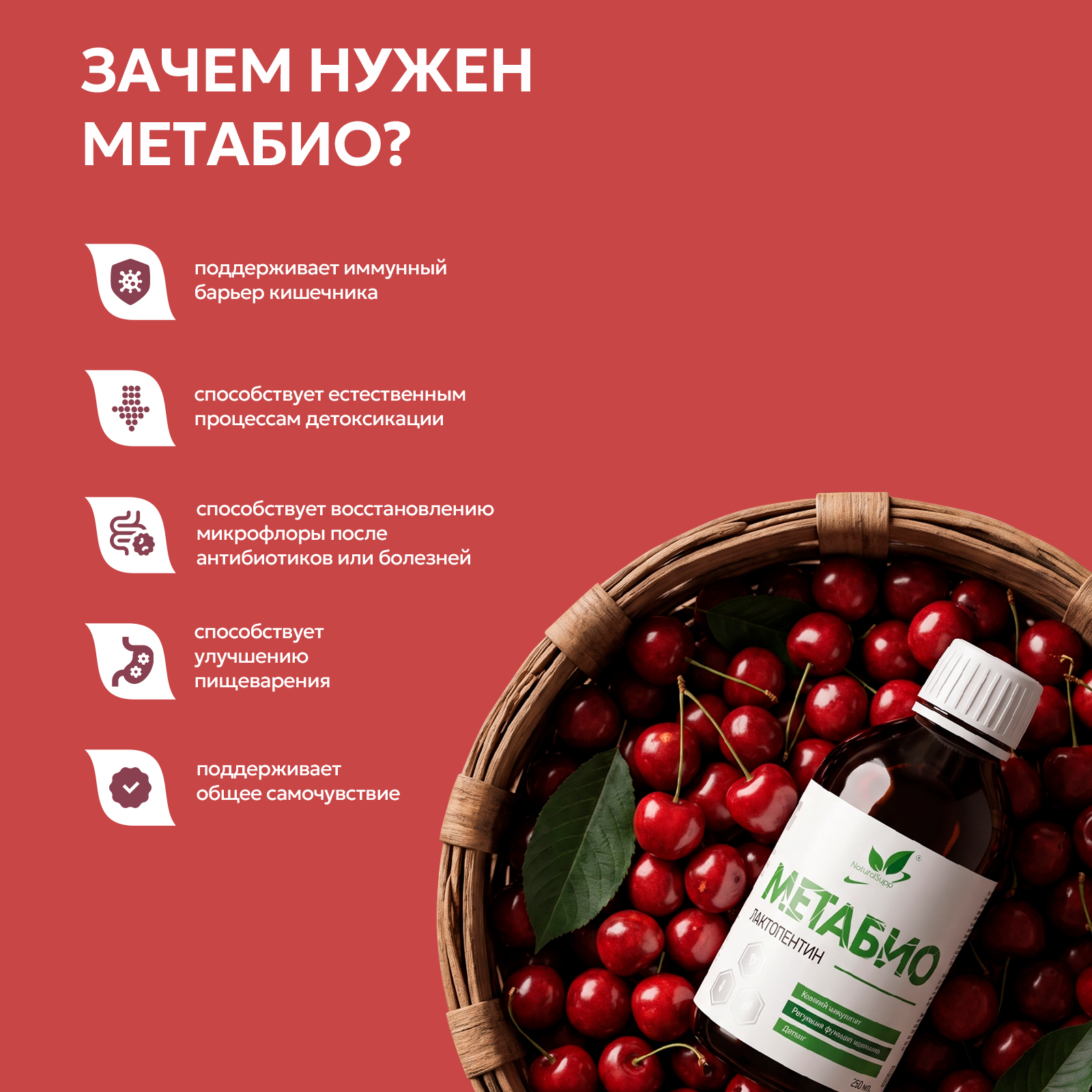 БАД к пище Концентрат Лактопентин / Метабио / 250 мл