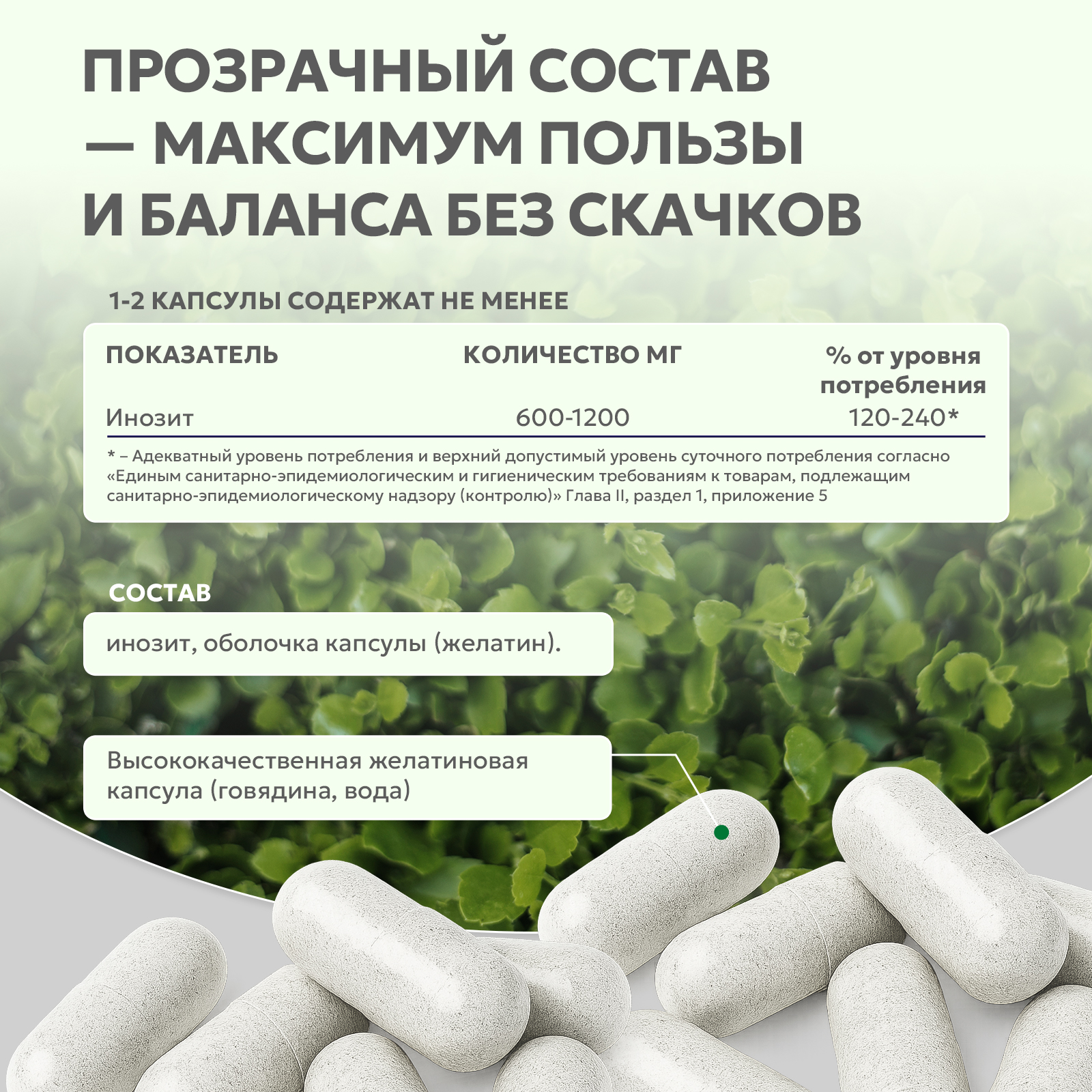 БАД к пище Инозитол (Витамин В8) 60 капс.