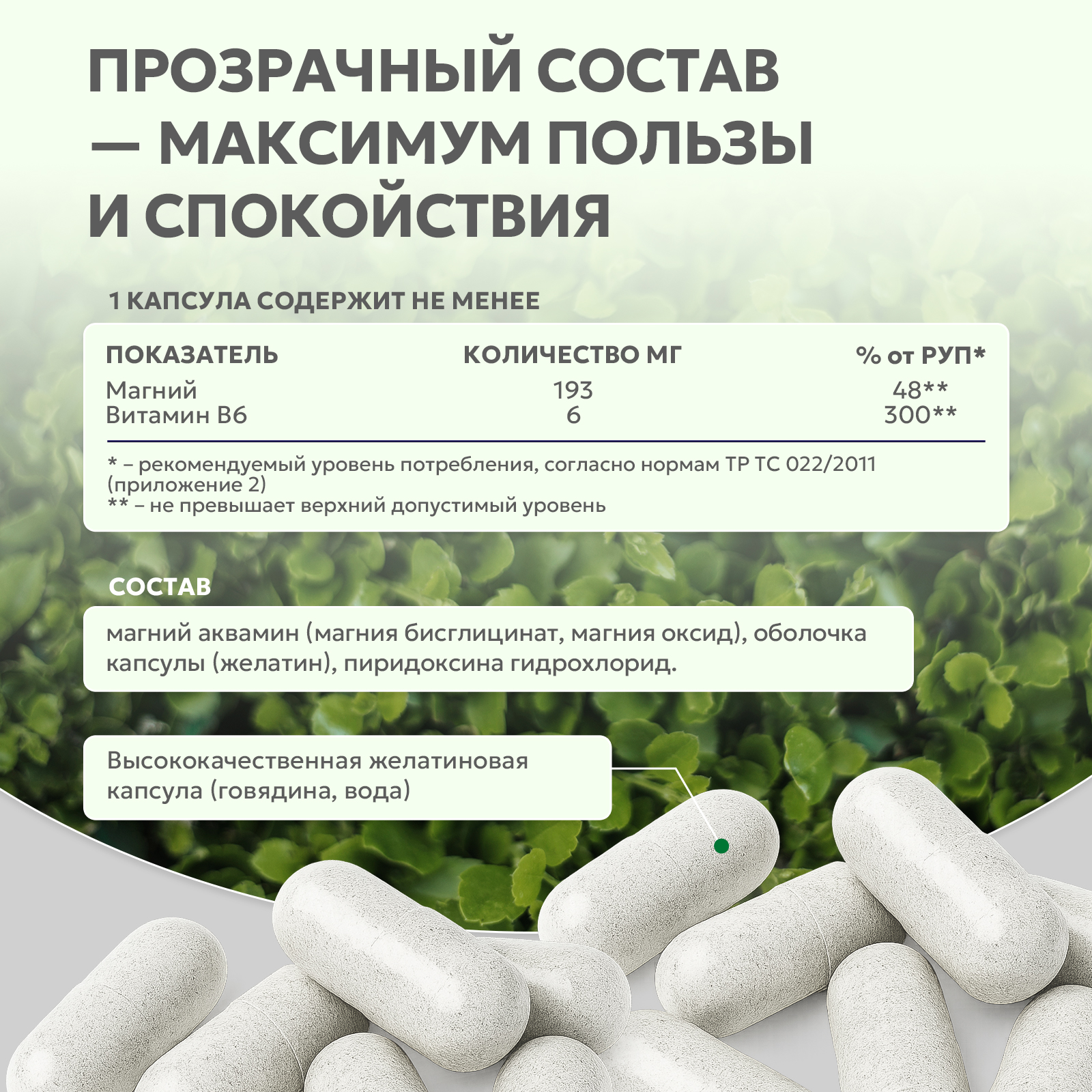 Магний + Б6 60 капс.