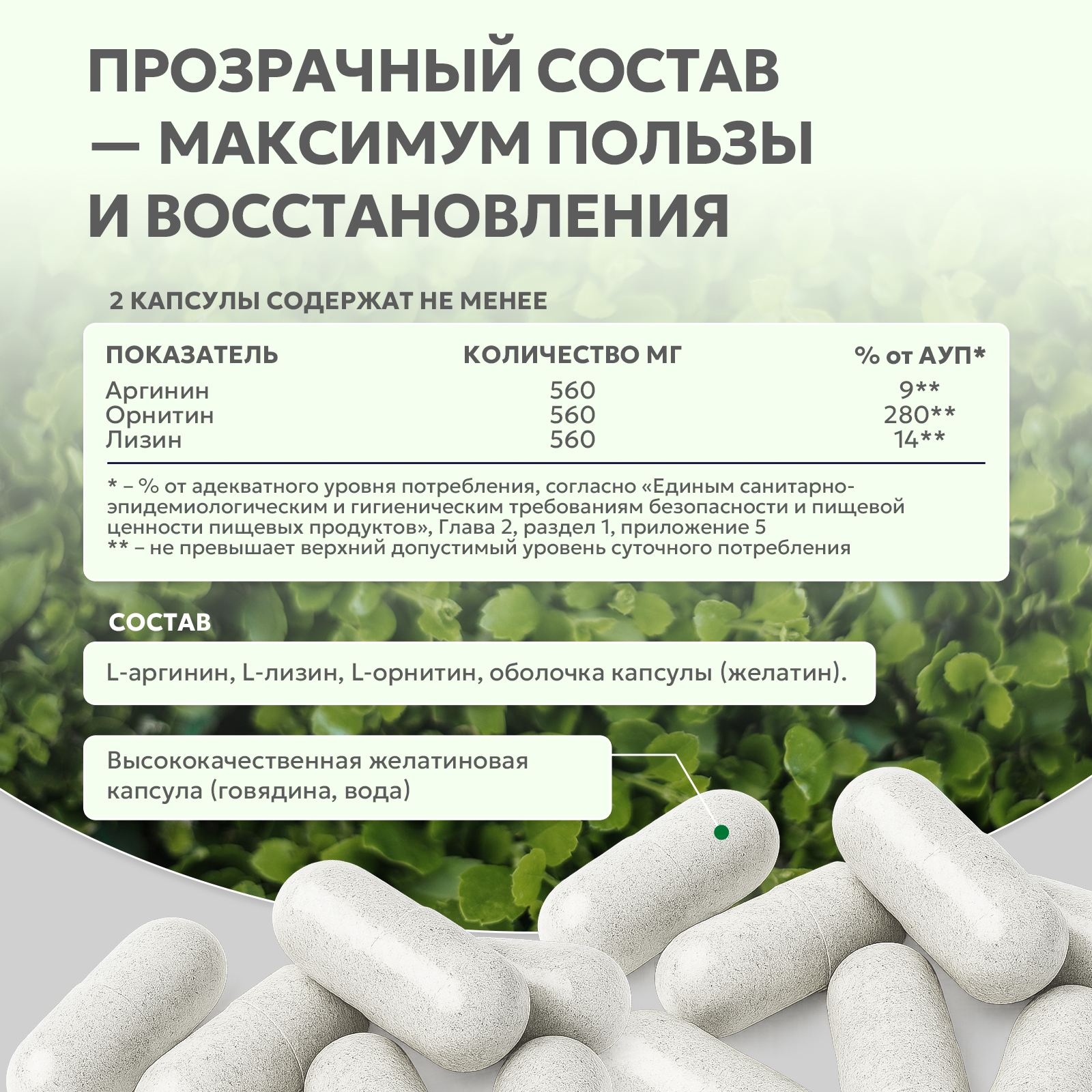 БАД к пище Аргинин Орнитин Лизин 60 капс.