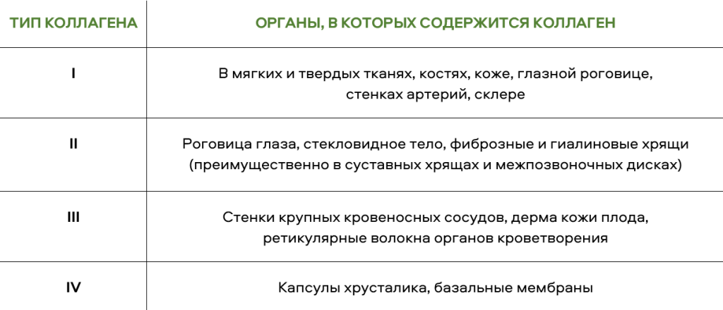 Типы коллагена
