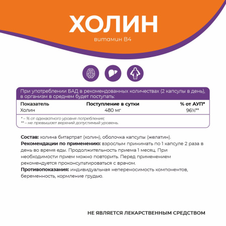 БАД к пище Холин БАД к пище Холин